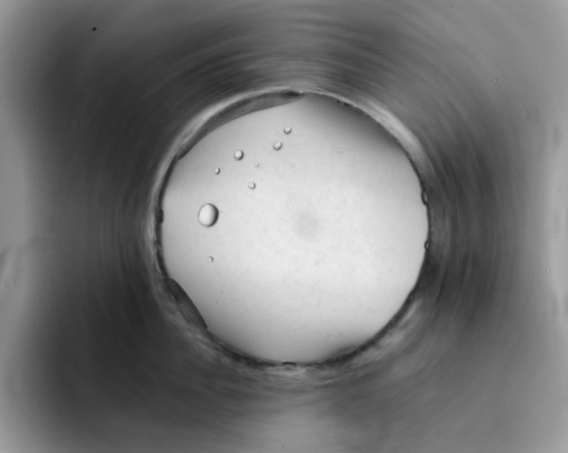 X0000091570956200709171055