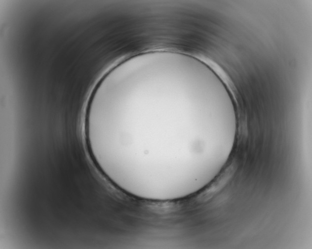 X0000091570957200709171055