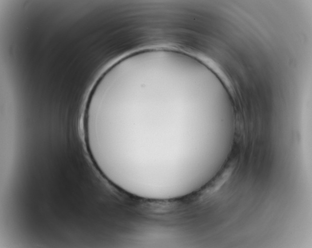 X0000091570959200709171055