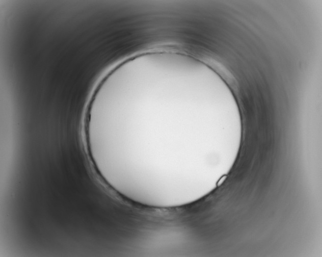 X0000091570960200709171055