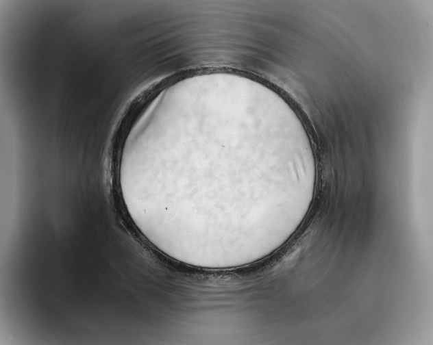 X0000091570979200709171054