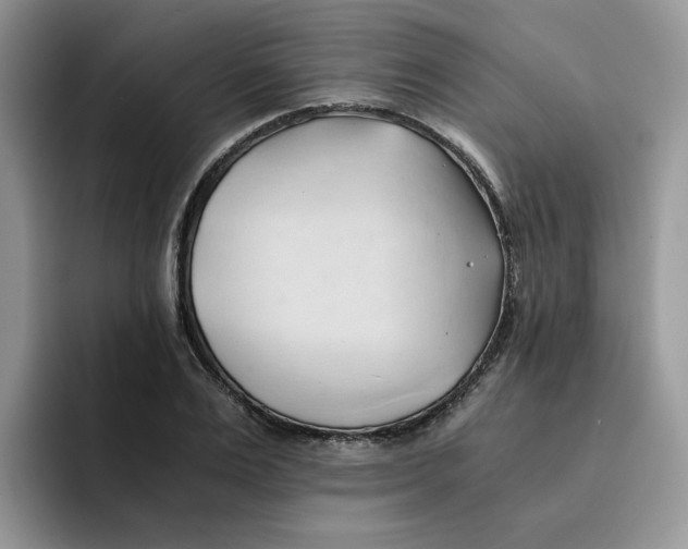 X0000091570983200709171054