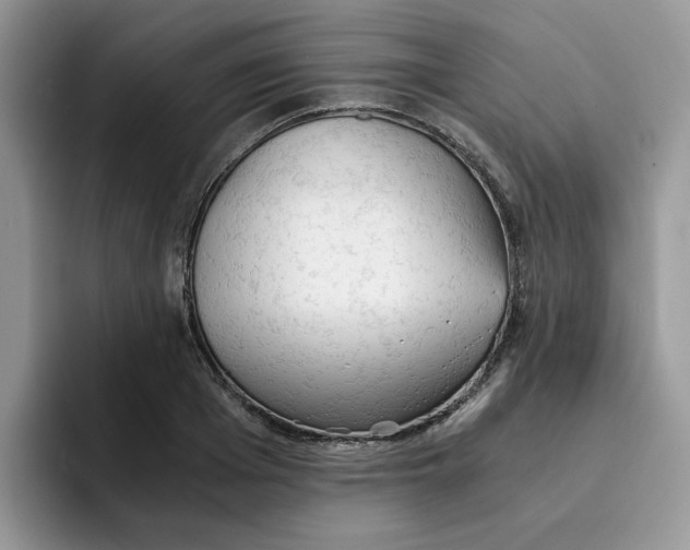 X0000091570985200709171054