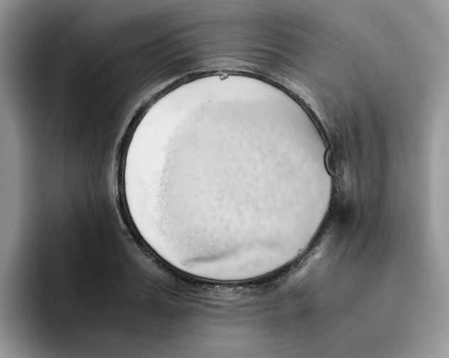 X0000091570987200709171054