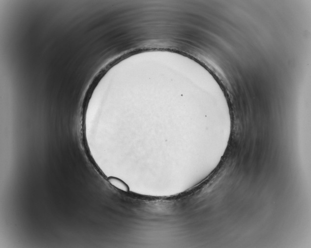 X0000091570992200709171054