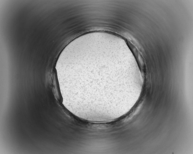 X0000091570993200709171054