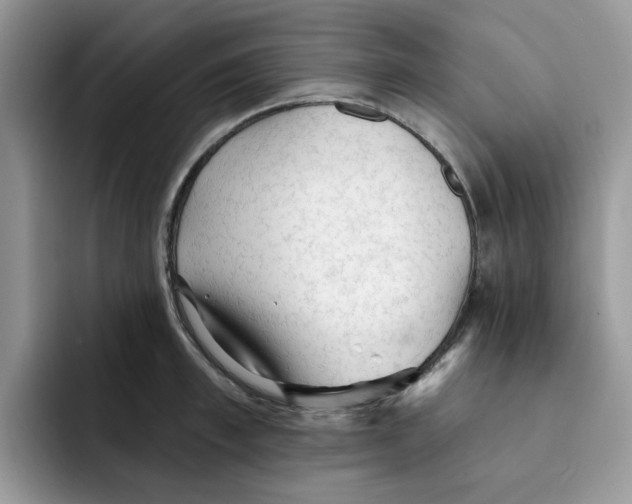 X0000091570997200709171054