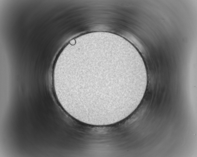 X0000091571000200709171054