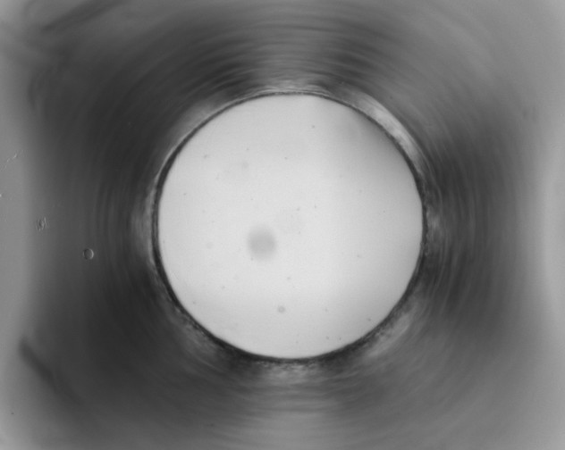 X0000091571002200709171054