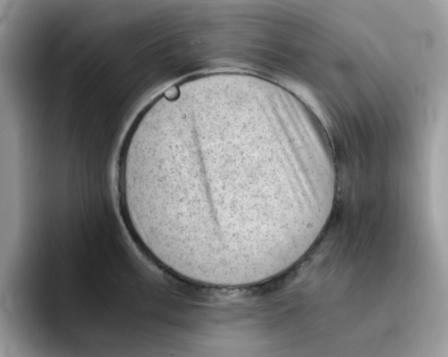 X0000091571003200709171054