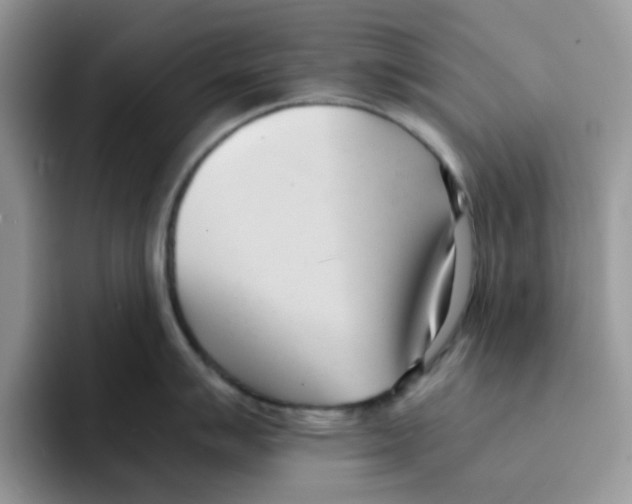 X0000091571007200709171054