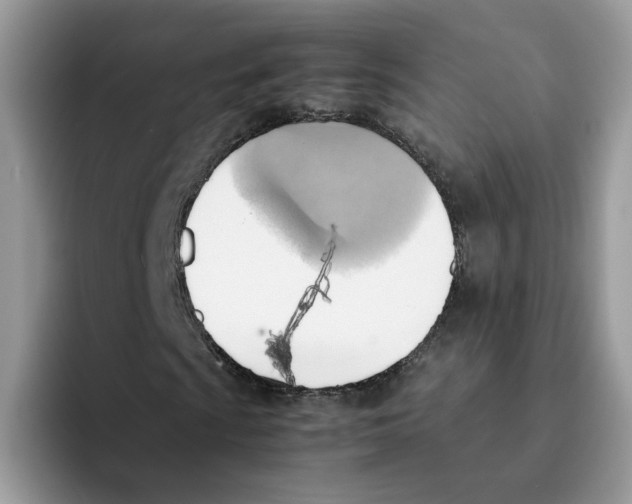 X0000091571009200709171053