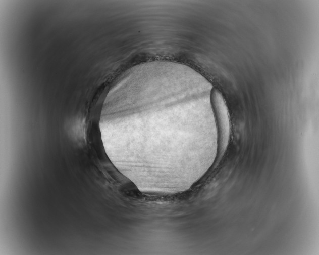 X0000091571010200709171053