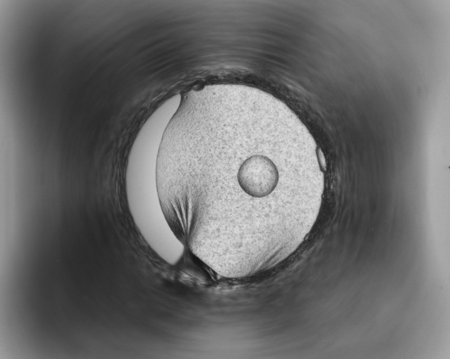 X0000091571014200709171053