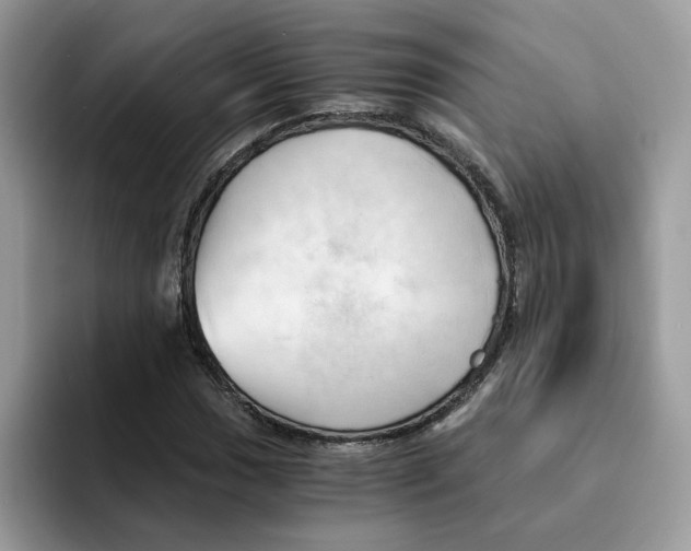 X0000091571017200709171053