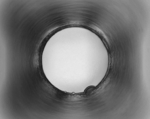 X0000091571019200709171053