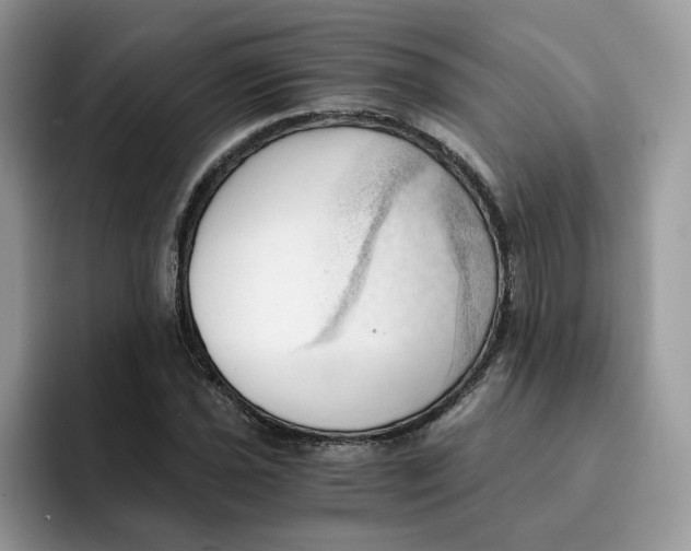 X0000091571021200709171053