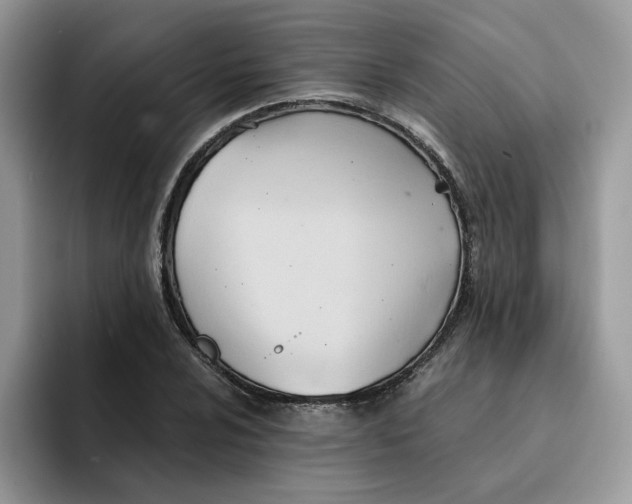 X0000091571024200709171053