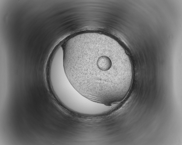 X0000091571026200709171053