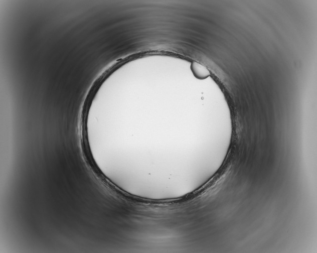 X0000091571028200709171054