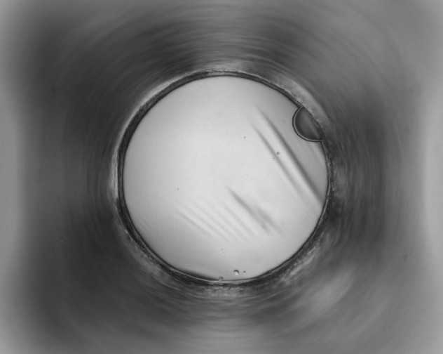 X0000091571036200709171054