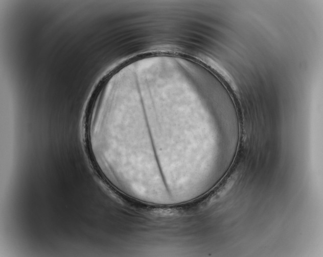 X0000091571037200709171054