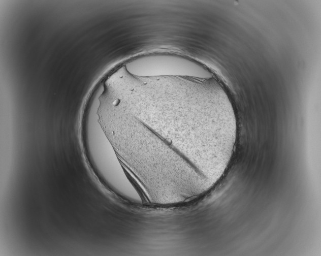 X0000091571038200709171054