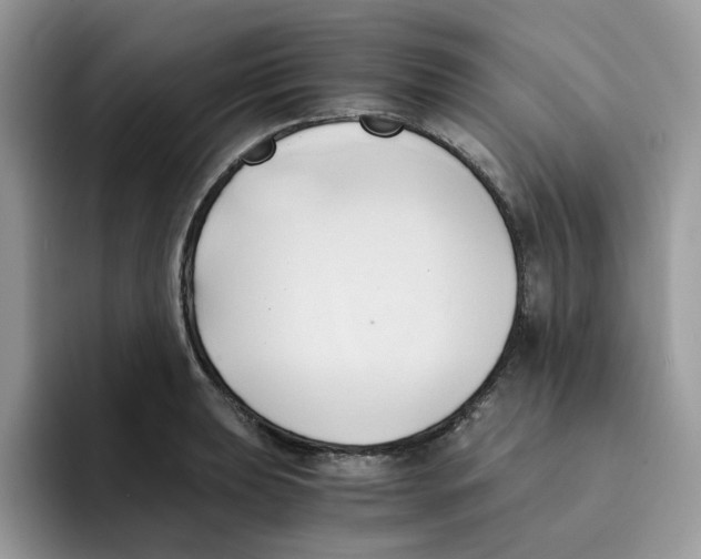 X0000091571039200709171054