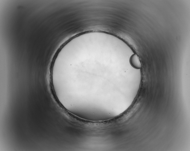 X0000091571040200709171054