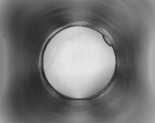 X0000091571044200709171054