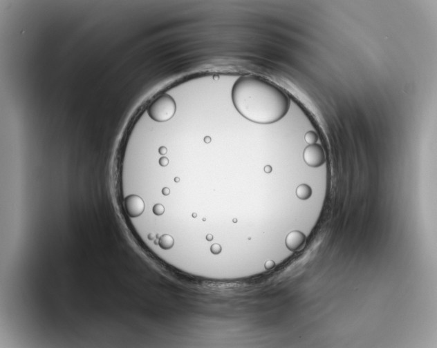 X0000091571045200709171054