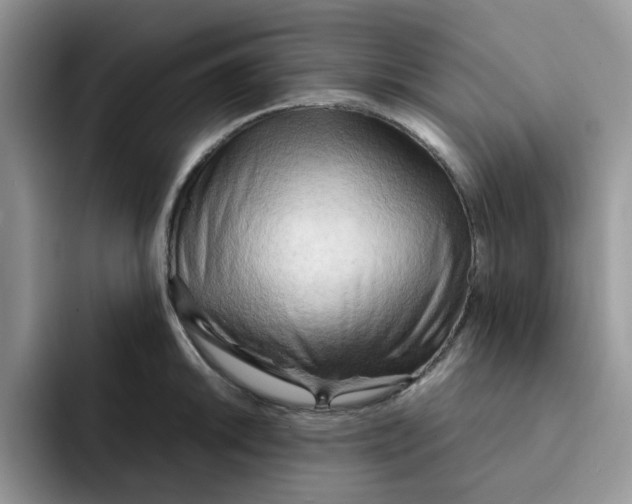 X0000091571046200709171054