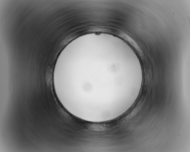 X0000091571049200709171054