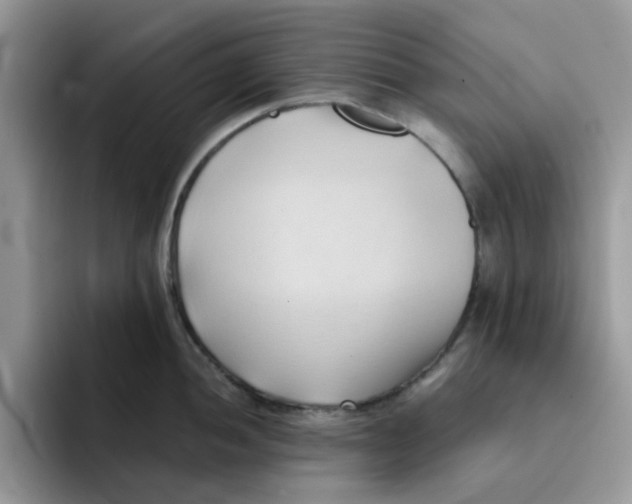 X0000091571052200709171054