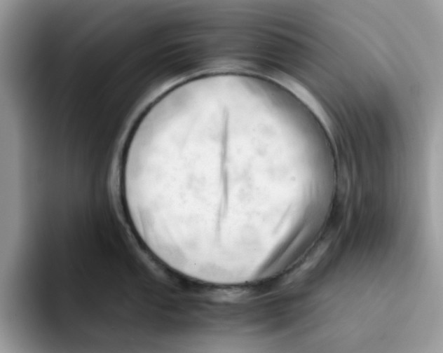 X0000091571053200709171054