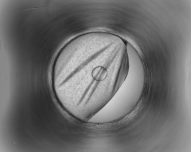 X0000091571054200709171054