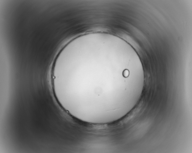 X0000091571055200709171054