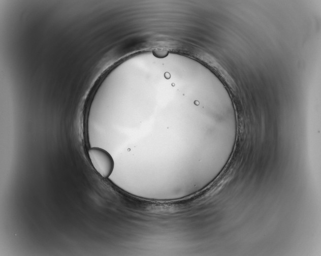 X0000091571083200709171053