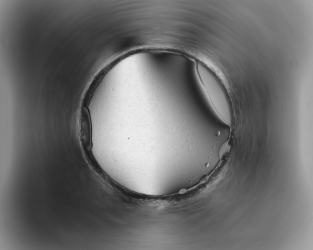 X0000091571085200709171053