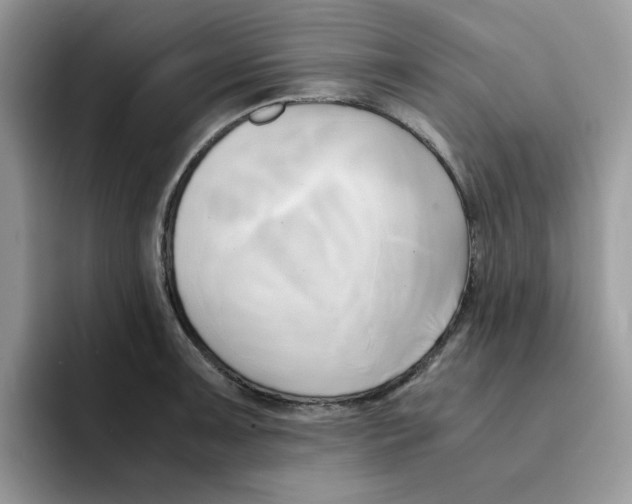 X0000091571091200709171053