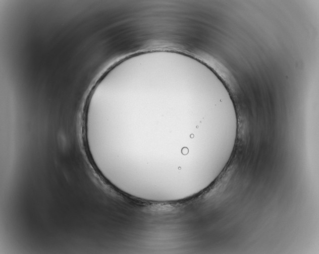 X0000091571094200709171053