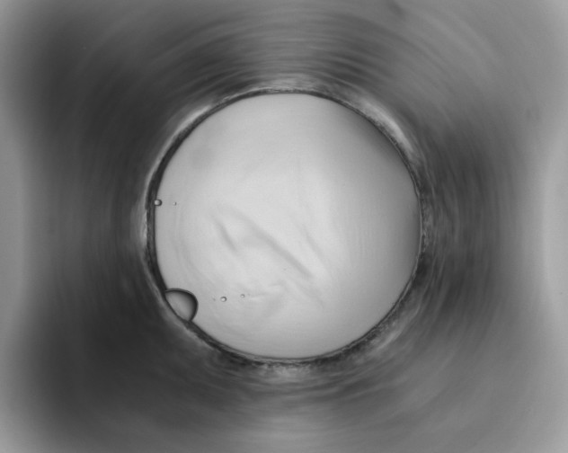 X0000091571095200709171053