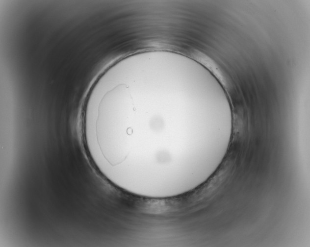 X0000091571098200709171053