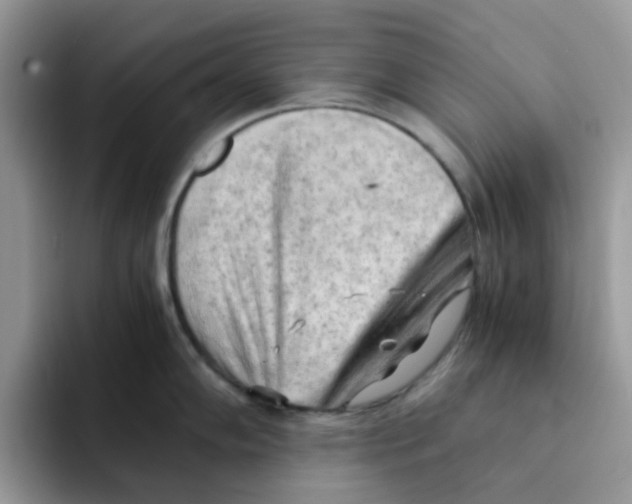 X0000091571102200709171053