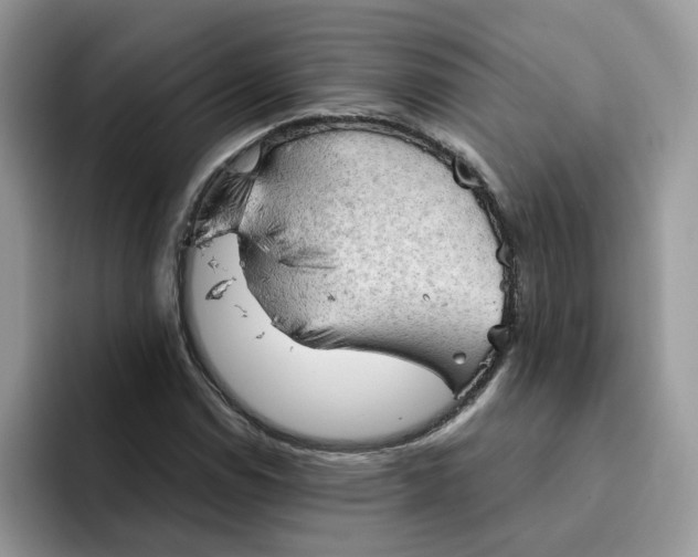 X0000091571114200709171052