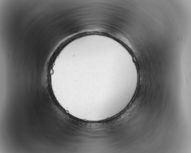 X0000091571116200709171052