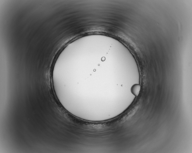 X0000091571121200709171052