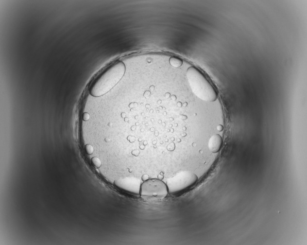 X0000091571126200709171052