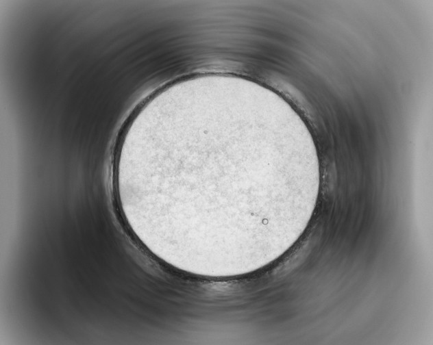 X0000091571130200709171052