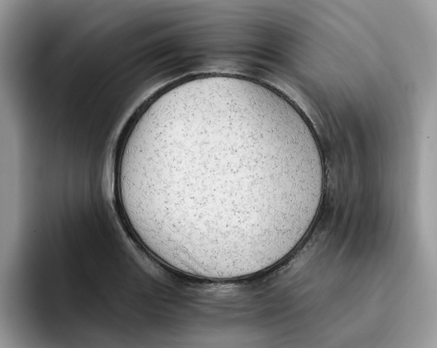 X0000091571131200709171052